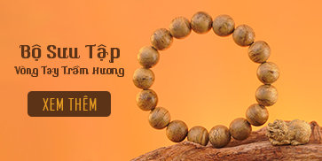 ảnh small 2